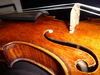 violin02.JPG